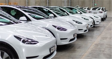 GO Rentals Tesla Model Y