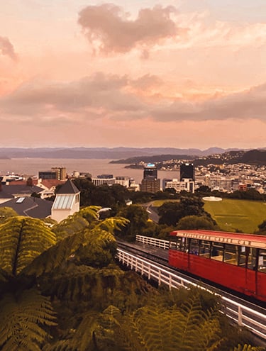 GO Rentals Road Trip Itinerary: Wellington to Whanganui Drive