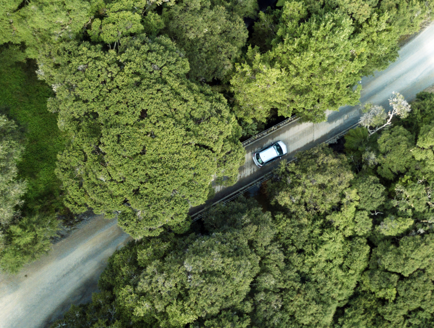 Road with a car surrounded by trees