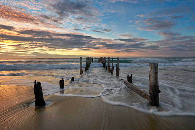 Dunedin