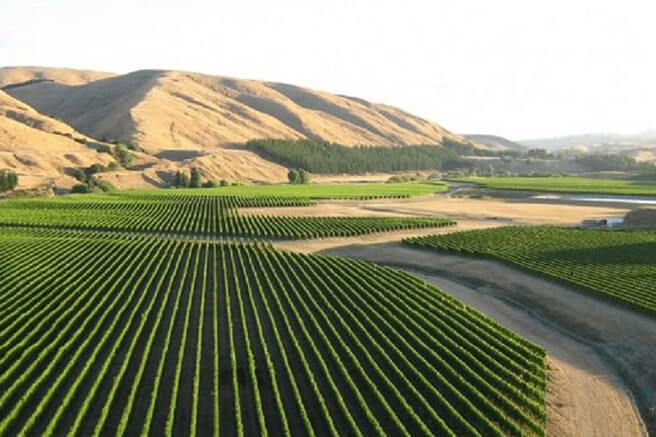 Martinborough