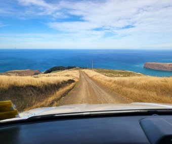 Scenic coastal road leading down to the ocean